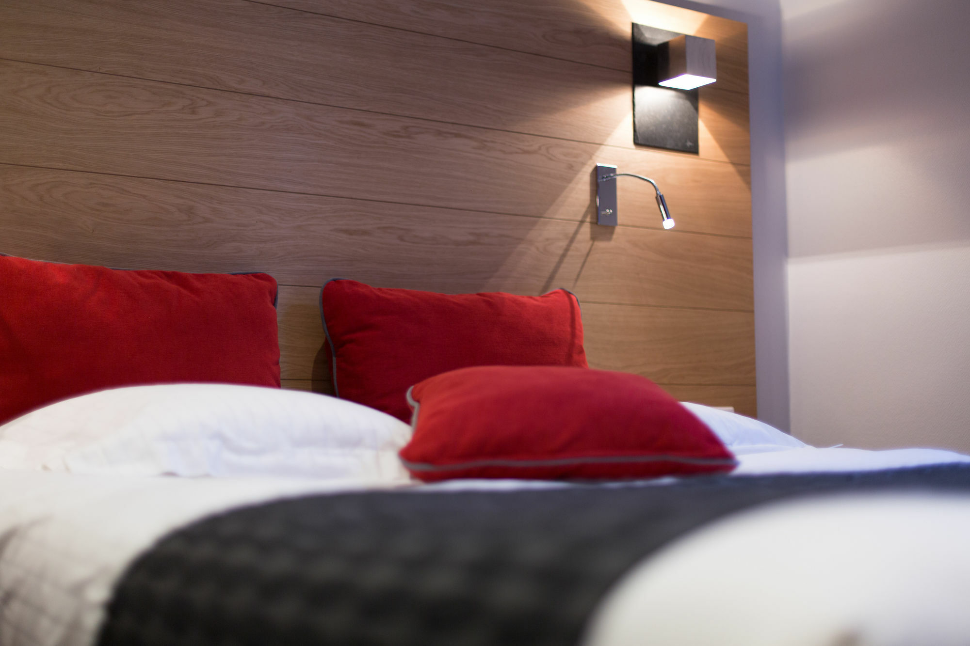 Hotel Des Princes, Chambery Centre Экстерьер фото